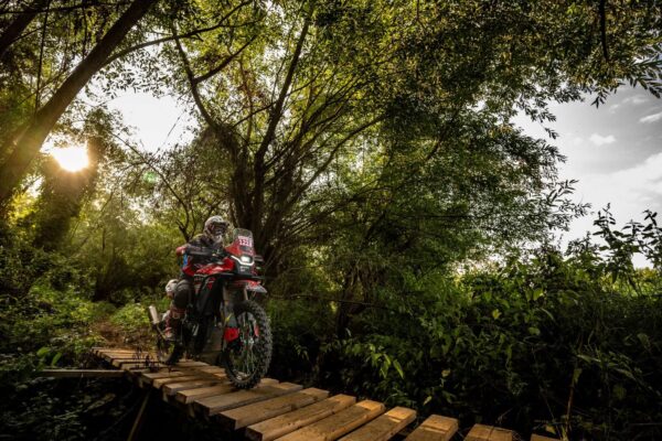 Andrea Goga - foto ActionLens