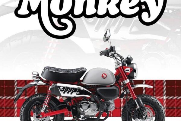 26YM Honda Monkey 125 26YM Honda Monkey 125