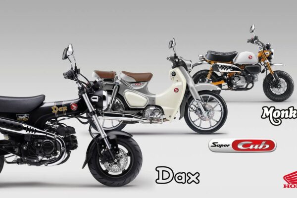 New 26YM colours for iconic Monkey 125, ST125 Dax and Super Cub C125 New 26YM colours for iconic Monkey 125, ST125 Dax and Super Cub C125